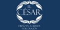 El Cesar Diseño En Acabados Y Decoracion logo