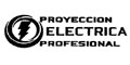 Electrica Proyeccion Profesional
