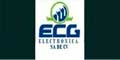 Electronica Ecg Sa De Cv logo
