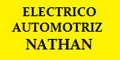 Eletrico Automotriz Nathan