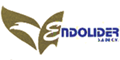 ENDOLIDER SA DE CV logo