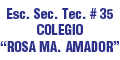 ESC. SEC. TEC. # 35 COLEGIO ROSA MA. AMADOR