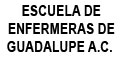 Escuela De Enfermeras De Guadalupe A.C.