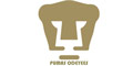 Escuela De Futbol Pumas Juarez logo