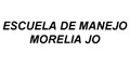 Escuela De Manejo Morelia Jo