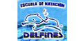 ESCUELA DE NATACION DELFINES