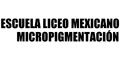 Escuela Liceo Mexicano Micropigmentacion