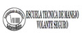 Escuela Tecnica De Manejo Volante Seguro logo