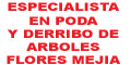 ESPECIALISTAS EN PODA Y DERRIBO DE ARBOLES DE ALTO RIESGO FLORES MEJIA logo