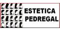 Estetica Pedregal logo
