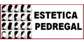 Estetica Pedregal