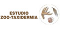 ESTUDIO ZOOTAXIDERMIA