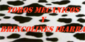 Fabricacion Y Venta De Toros Mecanicos Y Brincolines Ibarra logo