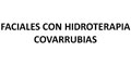 Faciales Con Hidroterapia Covarrubias logo