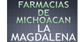 FARMACIAS DE MICHOACAN LA MAGDALENA