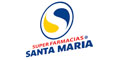 Farmacias Santa Maria Sa De Cv