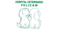 Felican Hospital Veterinario logo