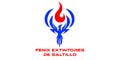 Fenix Extintores De Saltillo
