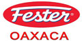 Fester Oaxaca logo