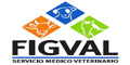 Figval Servicio Medico Veterinario Sa De Cv logo