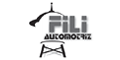 FILI AUTOMOTRIZ logo