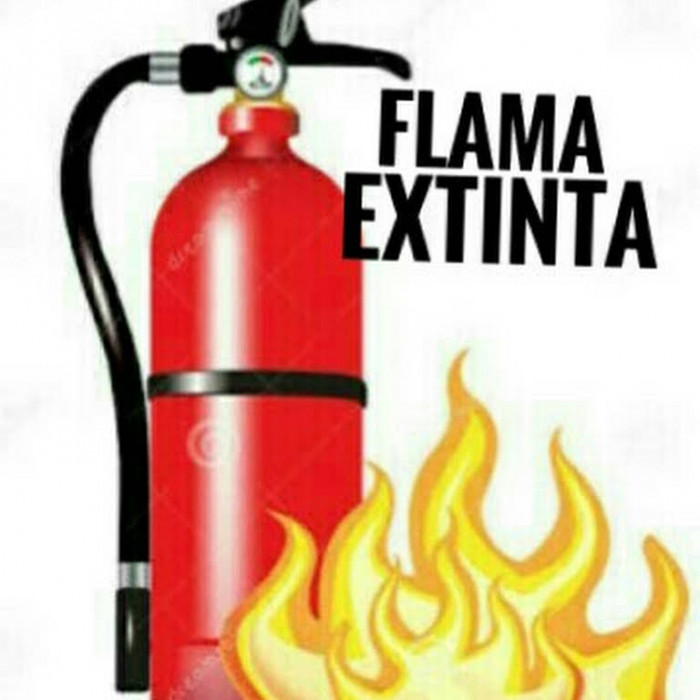 FLAMA EXTINTA extintores logo