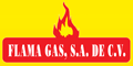 FLAMA GAS SA DE CV logo