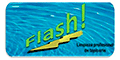 Flash Cleaning logo