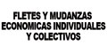 Fletes Y Mudanzas Economicas Individuales Y Colectivos Velazquez logo