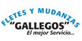 FLETES Y MUDANZAS GALLEGOS logo