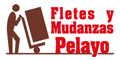 FLETES Y MUDANZAS PELAYO