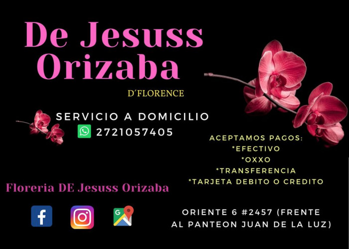 Floreria de jesuss orizaba logo