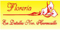 Floreria En Detalles Nuevo Hermosillo logo