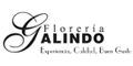 FLORERIA GALINDO logo