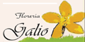 FLORERIA GALIO logo