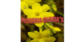 FLORERIA GLORIA'S logo