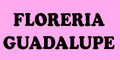 Floreria Guadalupe logo