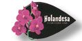Floreria Holandesa logo