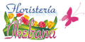 Floreria Ikebana logo
