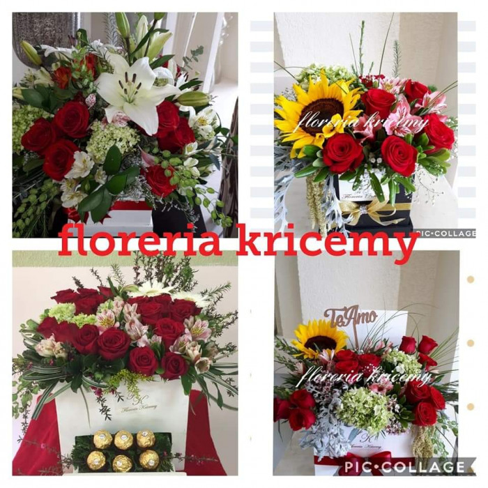 FLORERIA KRICEMY