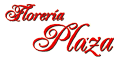 FLORERIA PLAZA logo