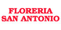 Floreria San Antonio logo