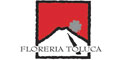Floreria Toluca logo