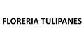 Floreria Tulipanes