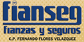 FLORES VELAZQUEZ FERNANDO C.P. logo