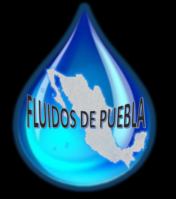 FLUIDOS DE PUEBLA S.A. DE C.V. logo