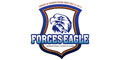 Forces Eagle logo