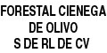 Forestal Cienega De Olivo S De Rl De Cv