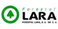 Forestal Lara, Sa De Cv
