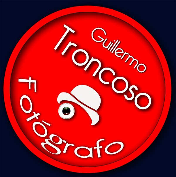 Guillermo Troncoso - Fotografo profesional logo
